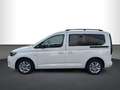 Volkswagen Caddy Life 2.0 TDI RFK, SHZ Weiß - thumbnail 7