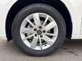 Volkswagen Caddy Life 2.0 TDI RFK, SHZ Weiß - thumbnail 9