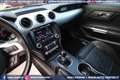 Ford Mustang 2.3 EcoBoost MANUALE *NAZIONALE Rot - thumbnail 47