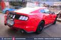 Ford Mustang 2.3 EcoBoost MANUALE *NAZIONALE Rot - thumbnail 23