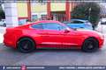 Ford Mustang 2.3 EcoBoost MANUALE *NAZIONALE Rot - thumbnail 5