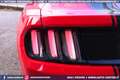 Ford Mustang 2.3 EcoBoost MANUALE *NAZIONALE Rot - thumbnail 34