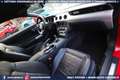 Ford Mustang 2.3 EcoBoost MANUALE *NAZIONALE Rot - thumbnail 41