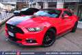 Ford Mustang 2.3 EcoBoost MANUALE *NAZIONALE Rot - thumbnail 2
