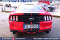 Ford Mustang 2.3 EcoBoost MANUALE *NAZIONALE Rot - thumbnail 6