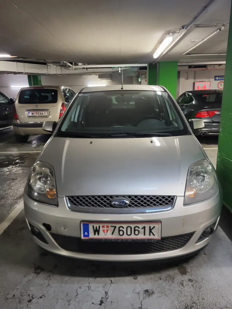 Ford Fiesta Fifty 1,4 TDCi Grau - 1