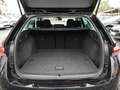 Skoda Octavia 2.0 TDI DPF Selection ACC FACEL. LED Noir - thumbnail 20