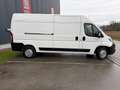 Peugeot Boxer 35 L3H2 BlueHDi 165 S&S Weiß - thumbnail 5