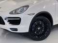 Porsche Cayenne Diesel 245 Aut. Weiß - thumbnail 12