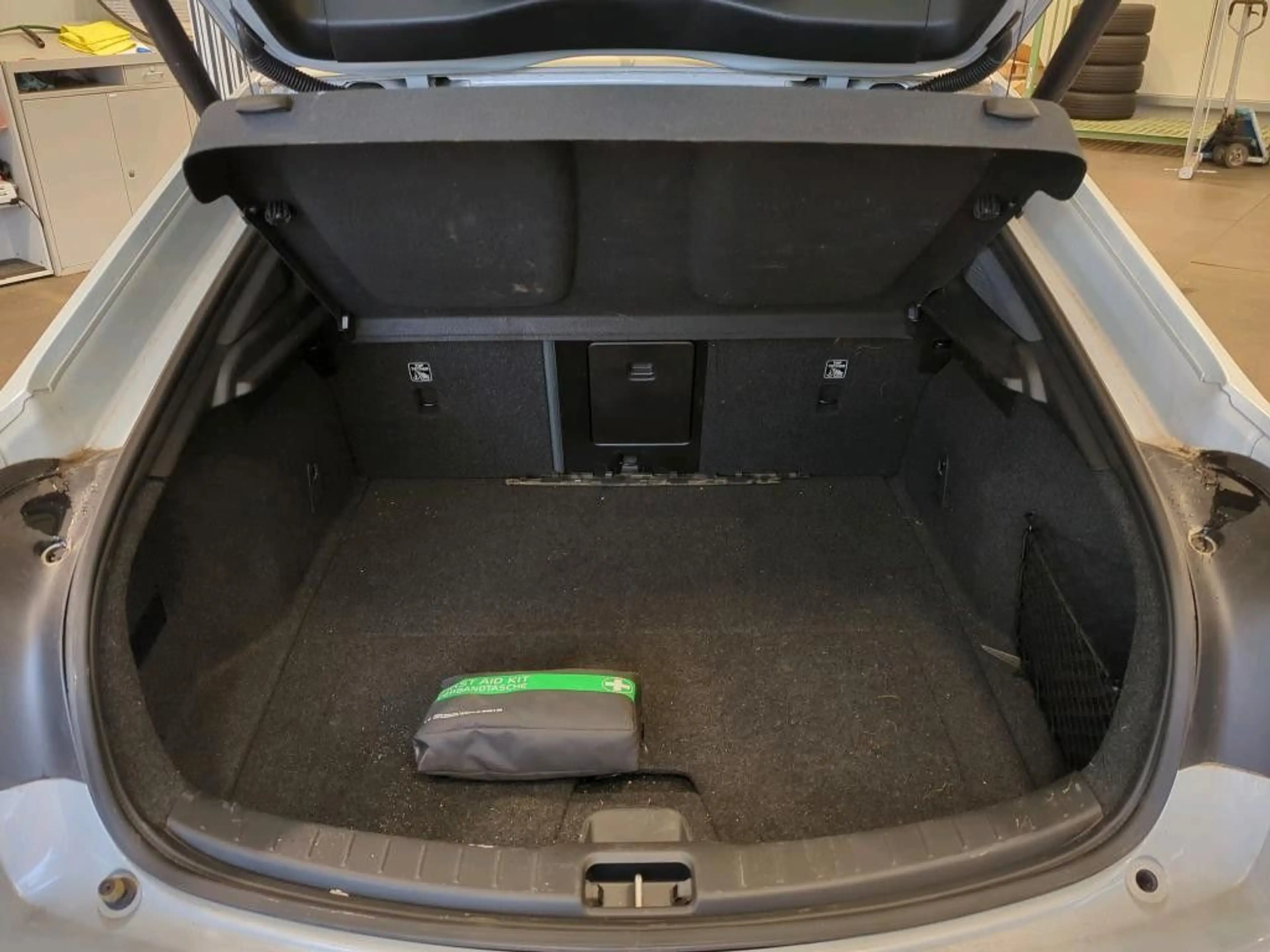Polestar 2 Long Range Dual Pilot Plus-Paket LED Pano WP — photo 7