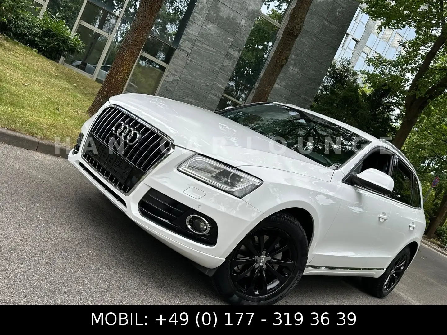 Audi Q5 2.0 TDI*150PS*LEDER*XENON*NAVI*SPORTPAKET*ALC Wit - 1