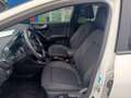 Ford Puma 1.0 EcoBoost Hybrid 125 CV S&S Titanium Beige - thumbnail 6