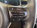 Kia Stonic 1.4 MPI GPL DELLA CASA OK NEOPATENTAI FARI FENDI Gris - thumbnail 17