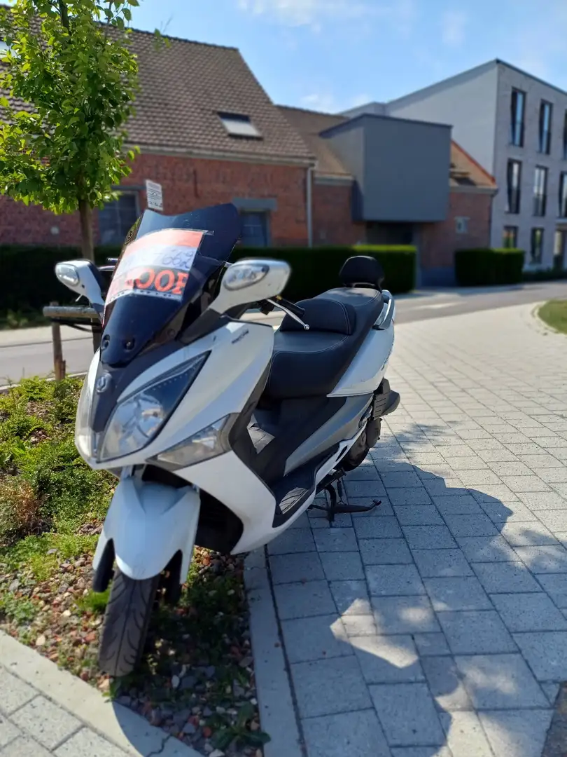 SYM Joymax 125i Blanc - 1