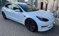 Tesla Model 3 Model 3 Standard rwd Plus Bianco - thumbnail 3