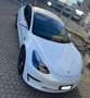 Tesla Model 3 Model 3 Standard rwd Plus Bianco - thumbnail 9
