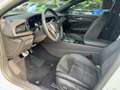 Opel Insignia B Grand Sport 2.0 SHT  Business LED+SHZ Weiß - thumbnail 9