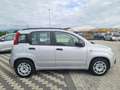 Fiat Panda Panda 1.2 Easy 69cv E6 Plateado - thumbnail 6