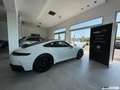 Porsche 911 992.2 3.0 COUPE' 394 CV/ KM 4.250/ IVA/ MY 2025 Bianco - thumbnail 5