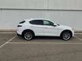 Alfa Romeo Stelvio Weiß - thumbnail 3