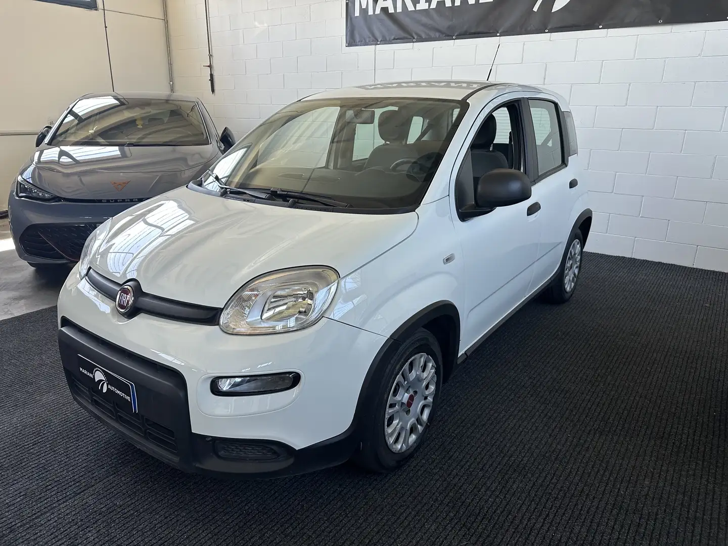 Fiat Panda 1.0 firefly hybrid s Bianco - 2