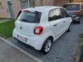 smart forFour 1.0 71 ch S&S Prime - thumbnail 4