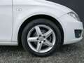 SEAT Leon 1.6 TDI 90CV CR neopatentati ok Bianco - thumbnail 7