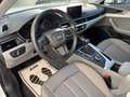 Audi A4 Avant KAMERA/BiXENON/MFL/AHK/SHZ Wit - thumbnail 7