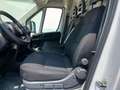 Fiat Ducato 35 2.2 Mjt 140CV PM-TM Furgone Bianco - thumbnail 13