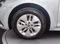 Skoda Octavia wagon 2.0 tdi evo ambition 115cv dsg Grigio - thumbnail 12