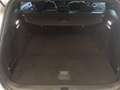Ford Focus Turnier 1,5 EcoBlue ST-Line X Aut. Silber - thumbnail 14