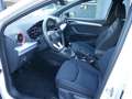 SEAT Ibiza 1.0 TSI FR 18"-LM NAVI ACC FACEL. LED Blanc - thumbnail 7