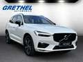 Volvo XC60 R Design AWD B4 Diesel EU6d StandHZG Navi Digitale Weiß - thumbnail 1