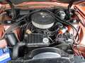 Ford Thunderbird Special Landau Coupe Brun - thumbnail 13