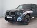 BMW XM PHEV 50e 30 kWh BMW Individual Special Request Lak Gris - thumbnail 24