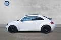 Volkswagen Beetle 2.0TDI R-Line DSG 140 - thumbnail 18