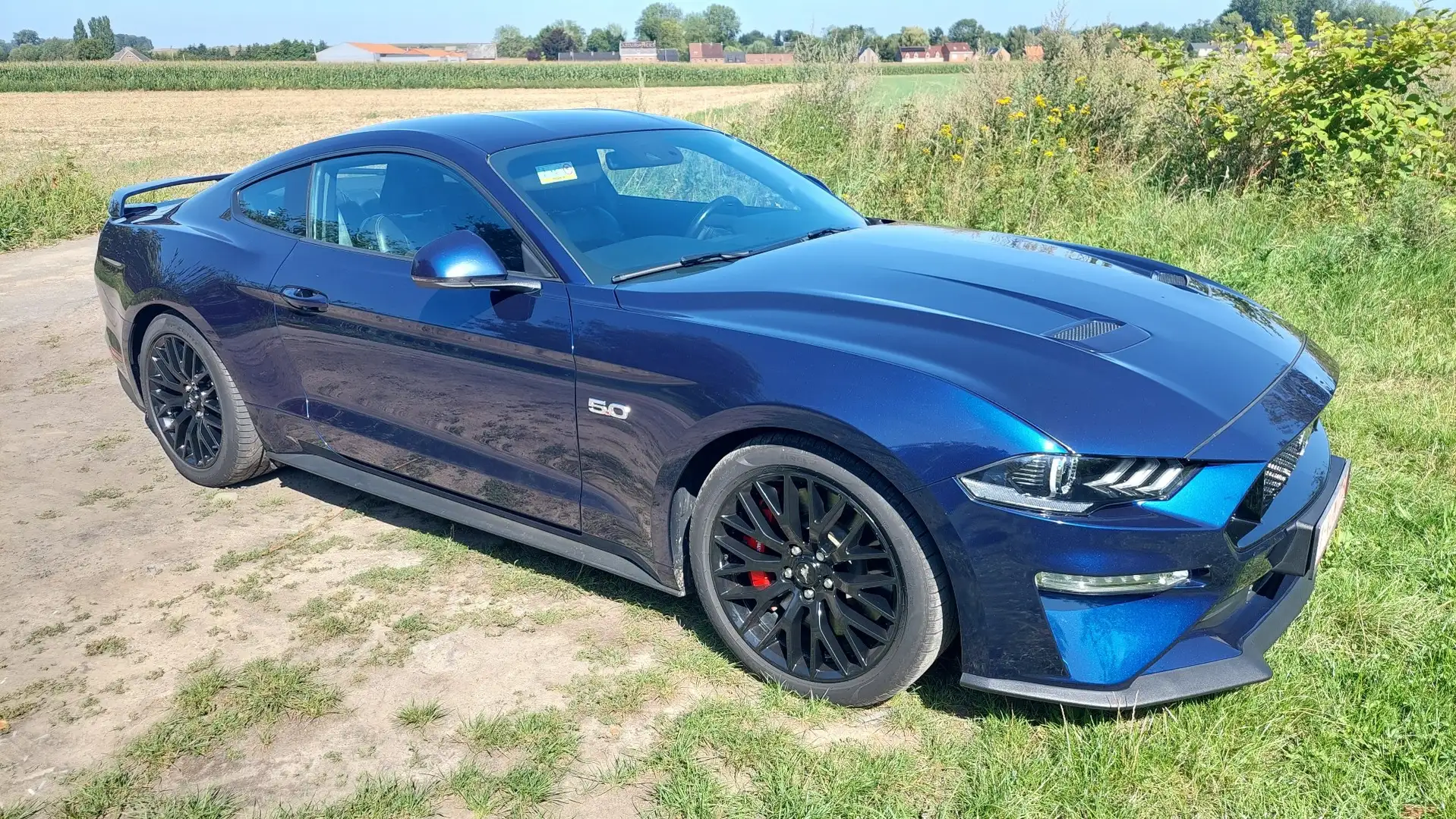 Ford Mustang 5.0 Ti-VCT V8 GT (EU6.2) - 1
