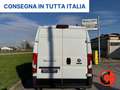 Fiat Ducato 35 122CV 47kWh(PM-TM-L2H2)FURGONE ELETTRICO-KM 470 Bianco - thumbnail 6