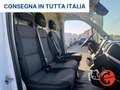 Fiat Ducato 35 122CV 47kWh(PM-TM-L2H2)FURGONE ELETTRICO-KM 470 Bianco - thumbnail 13