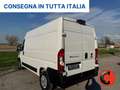 Fiat Ducato 35 122CV 47kWh(PM-TM-L2H2)FURGONE ELETTRICO-KM 470 Bianco - thumbnail 5