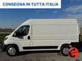 Fiat Ducato 35 122CV 47kWh(PM-TM-L2H2)FURGONE ELETTRICO-KM 470 Bianco - thumbnail 3