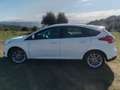 Ford Focus 1.6 Ecoboost Auto-S&S Titanium Blanco - thumbnail 10