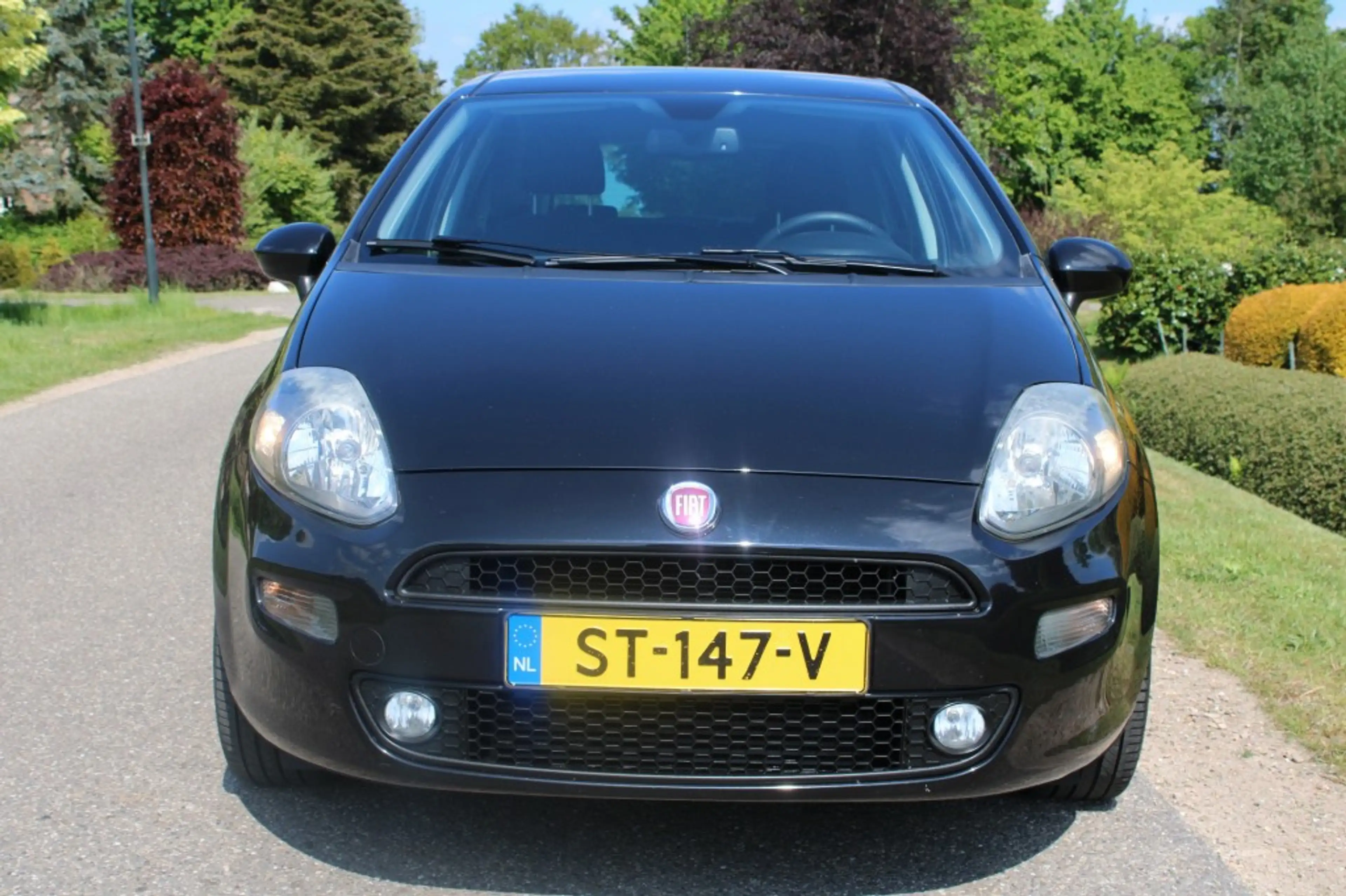 Fiat Punto Evo 0.9 TwinAir 101pk Sempre 5-drs ECC/Cruise/Navi/PDC — photo 16