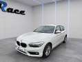 BMW 116 116d Business 5p Bianco - thumbnail 1