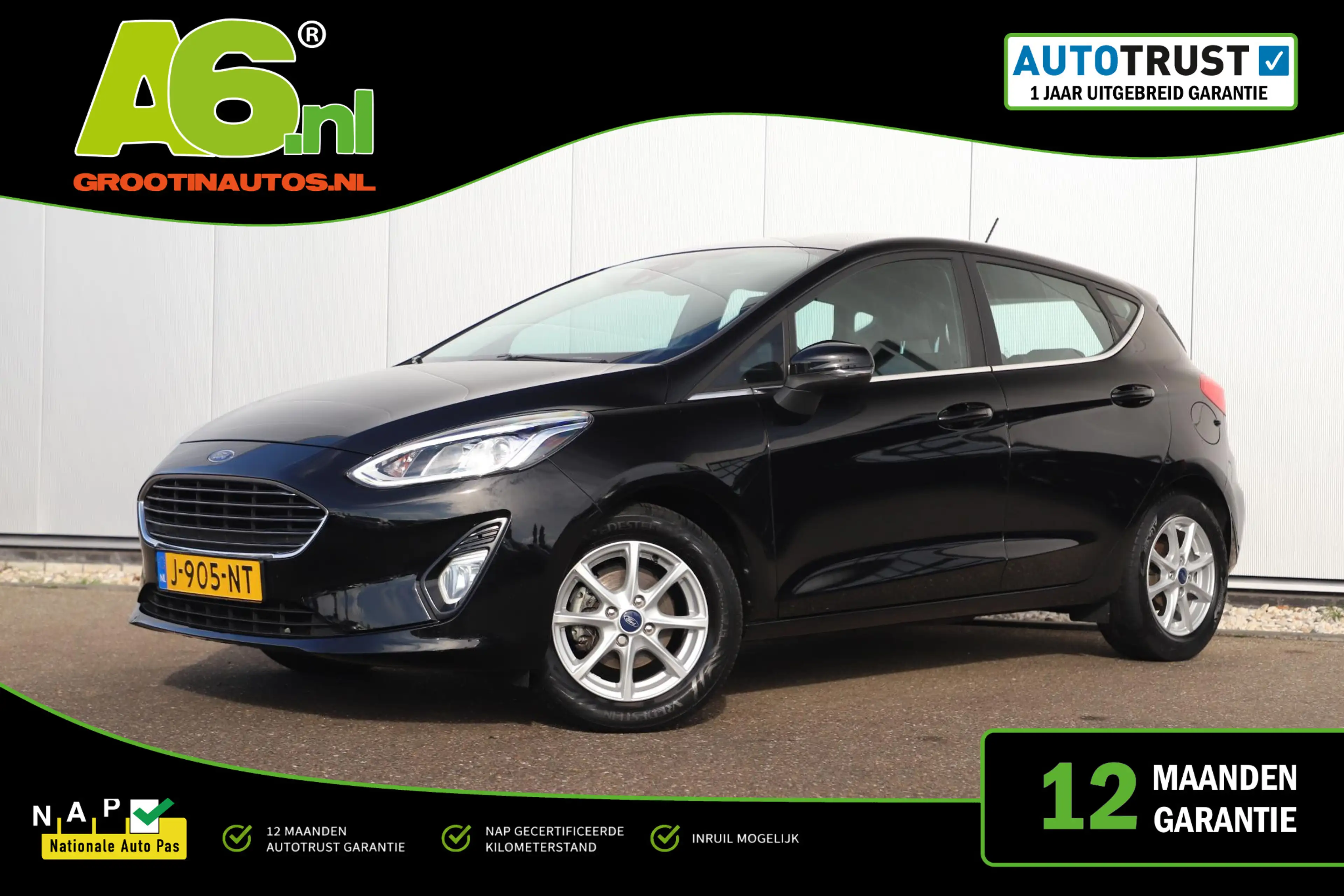 Ford Fiesta 1.0 EcoBoost Titanium 95PK Winter Pakket Stuur & S