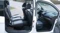 Ford Transit Connect Zahnriemen+Inspektion Neu Weiß - thumbnail 11