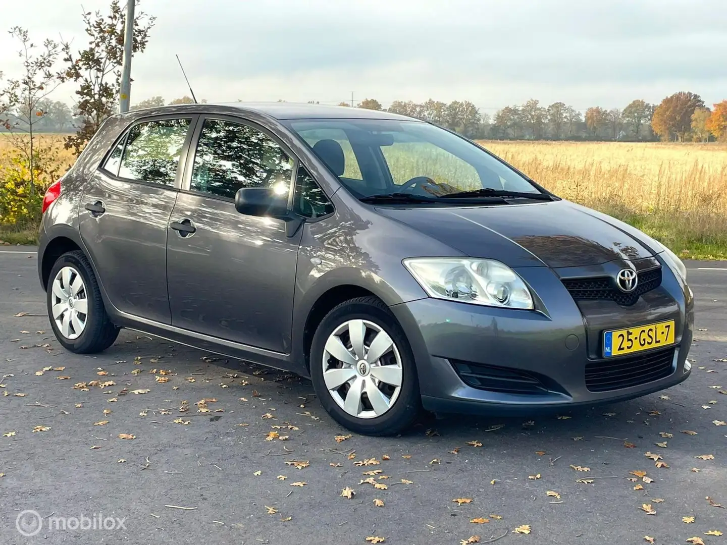 Toyota Auris 1.4-16V NAP Grau - 2