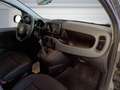Fiat Panda Cross 1.0 FireFly S&S Hybrid Grijs - thumbnail 11