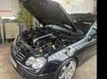 Mercedes-Benz CLK 320 CLK Cabrio 320 Avantgarde - thumbnail 5