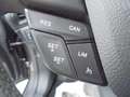 Ford EcoSport Titanium, Navi, Kamera, LED, Allw., B&O Grey - thumbnail 15